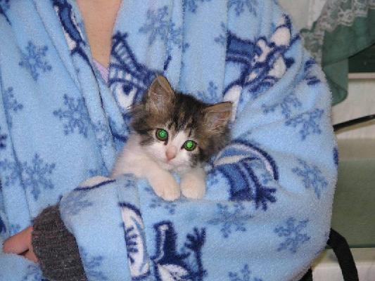 New Brunswick 2004 048.jpg